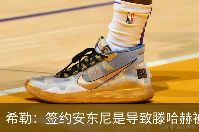 希勒：签约安东尼是导致滕哈赫被解雇的原因之一