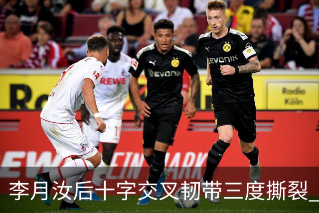 李月汝后十字交叉韧带三度撕裂 和断掉无异